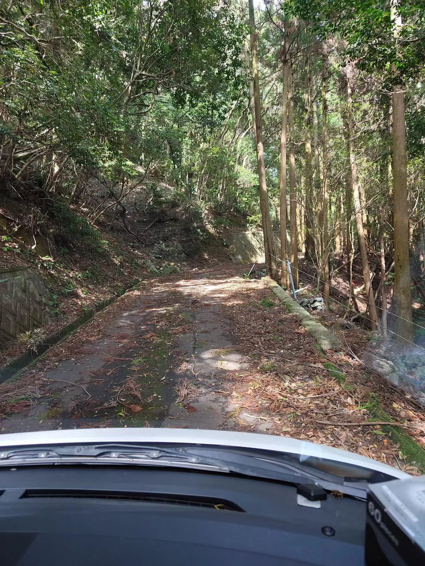 (諫早市／整骨院)花はな整骨院です⁡
