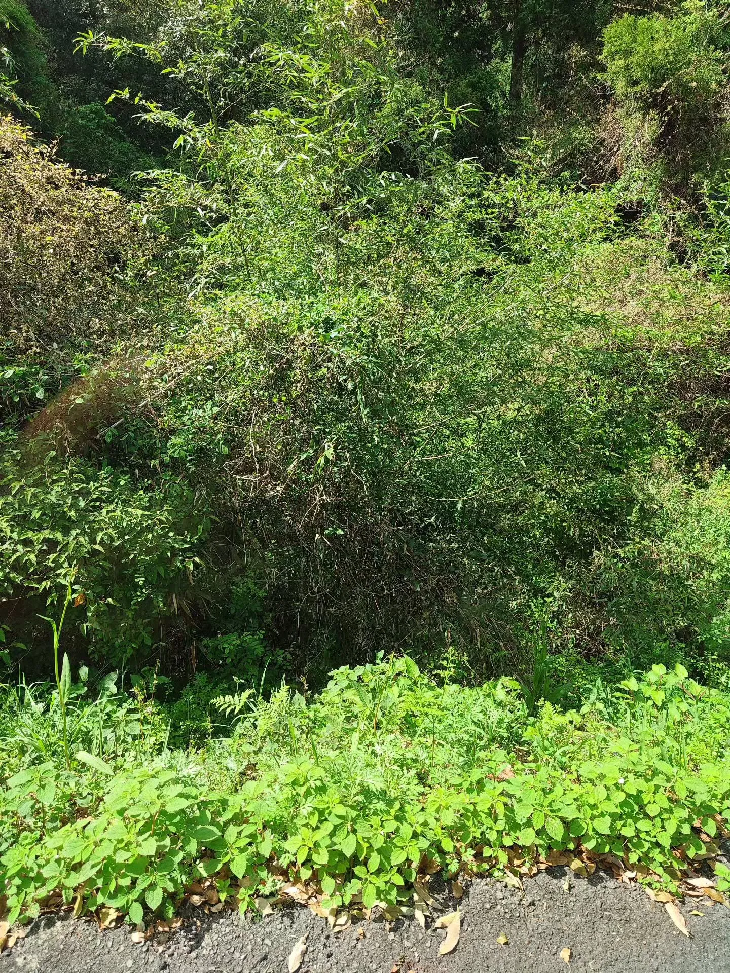 (諫早市／整骨院)花はな整骨院です⁡