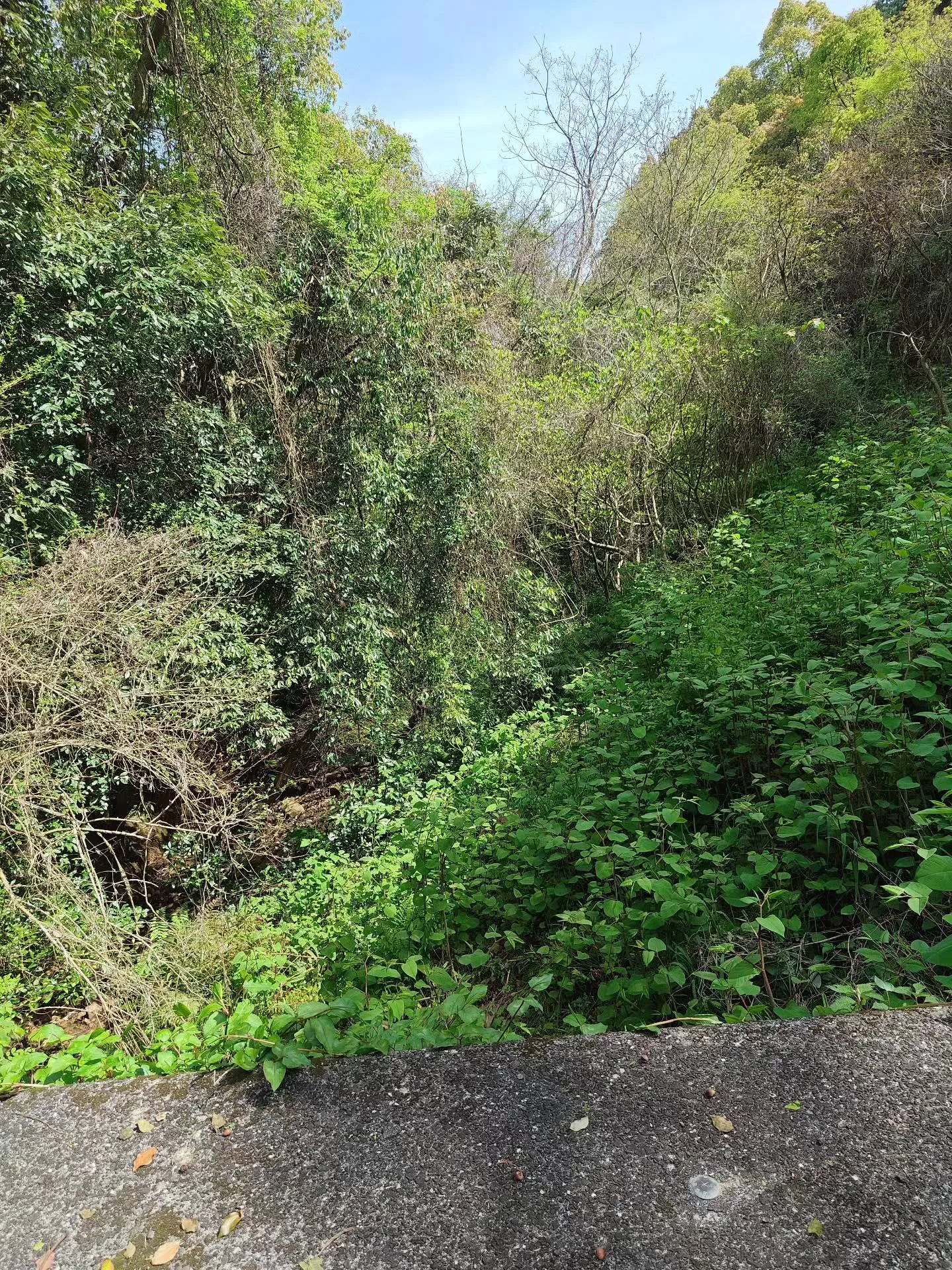 (諫早市／整骨院)花はな整骨院です⁡