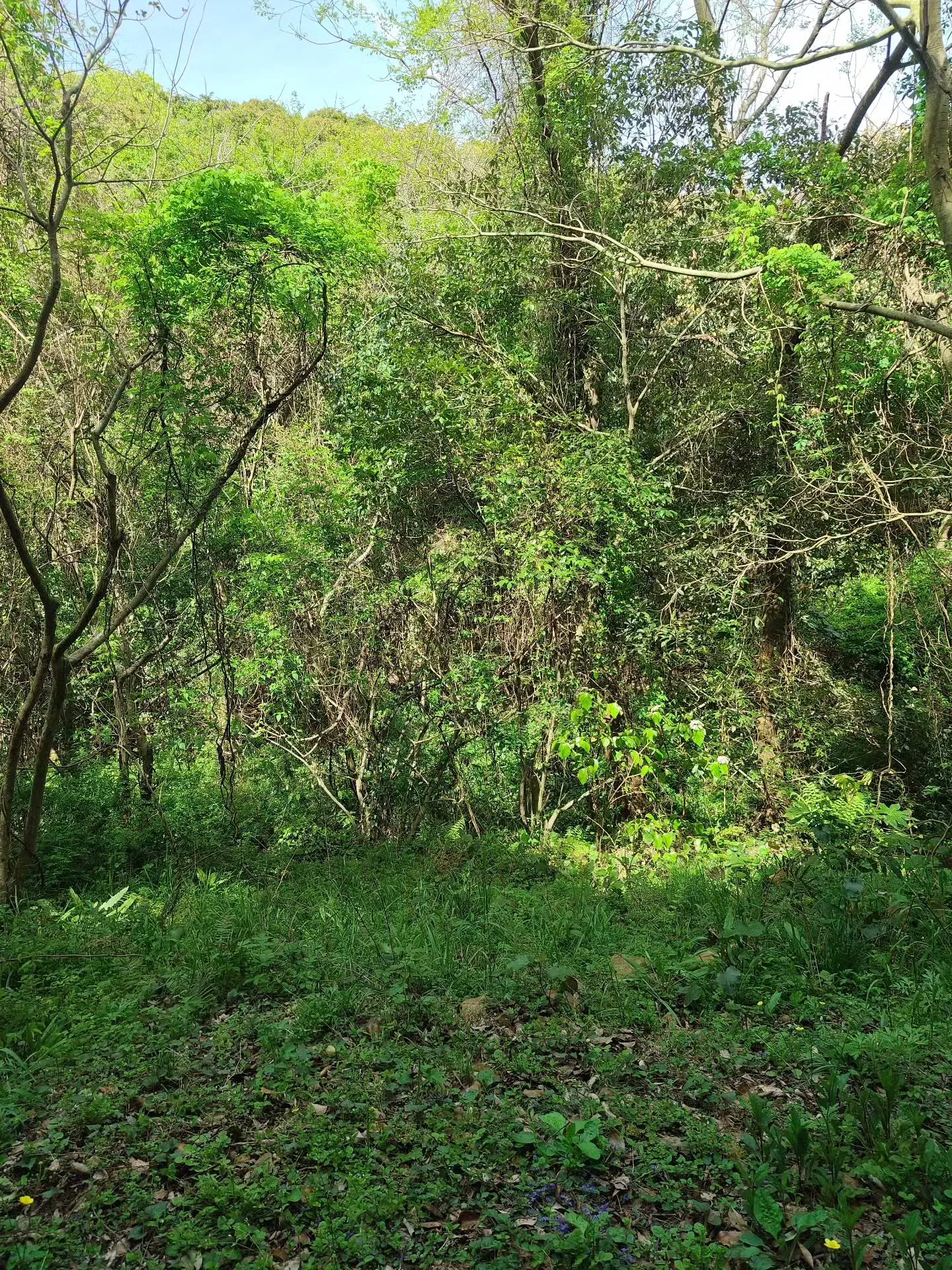 (諫早市／整骨院)花はな整骨院です⁡