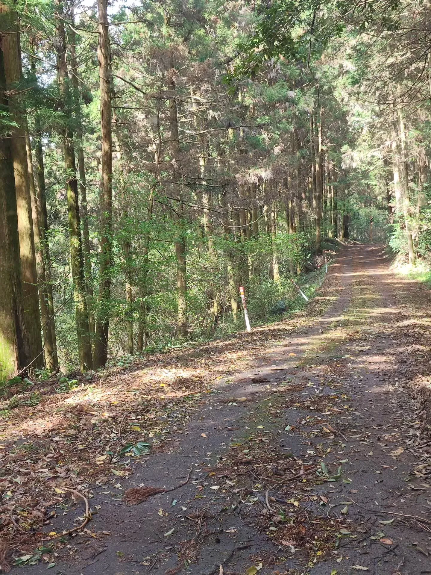(諫早市／整骨院)花はな整骨院です⁡