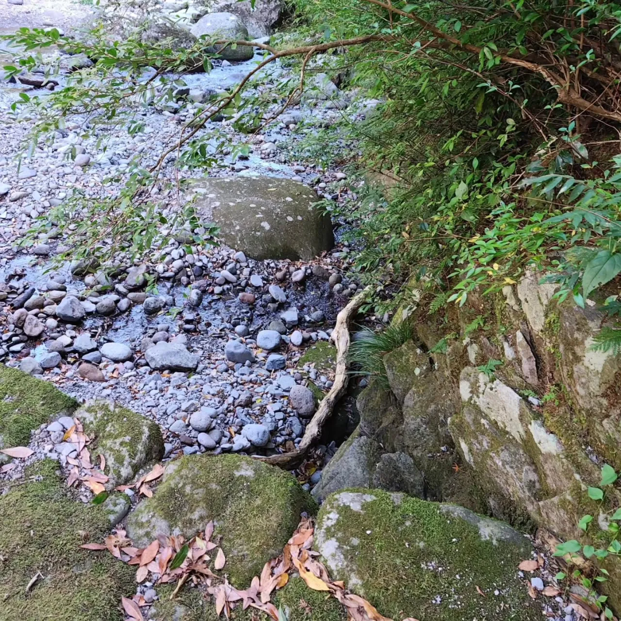 今日は特別な一日でした。